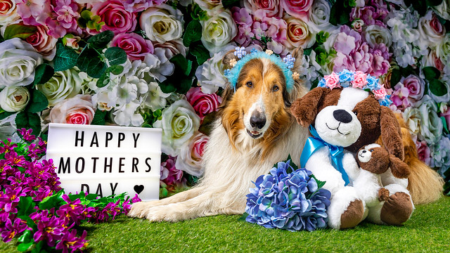 Happy Mother's Day from Merlin