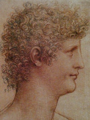 Leonardo da Vinci / Young man