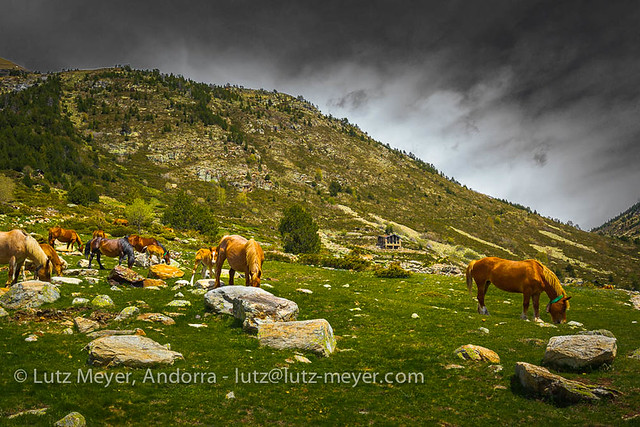 Andorra nature: Vall d'Incles, Canillo, Vall d'Orient, Andorra, Pyrenees