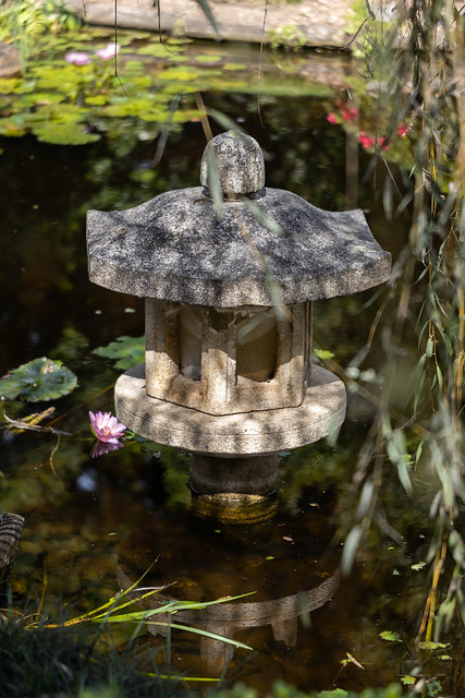 In the Japanese garden