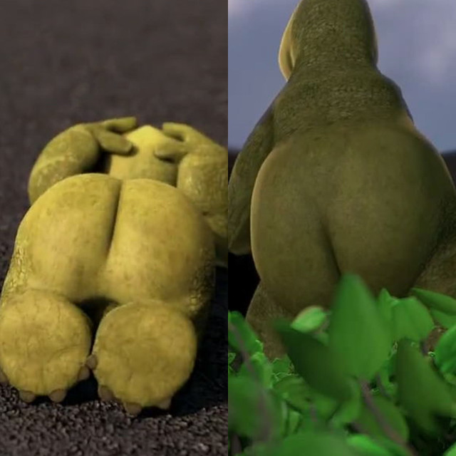 Verne's butt collage