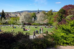 Spring in Oslo