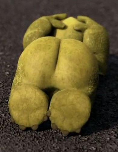 Verne's butt #1