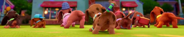 Doxie booties