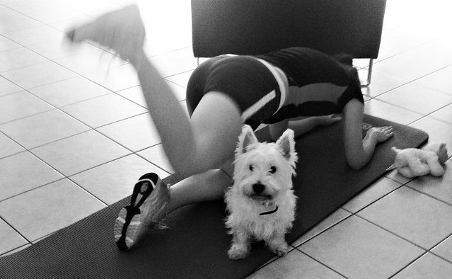 Dog Relaxing on Fitness Mat