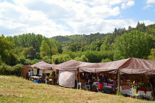 Mercado Tierras del Murtiga