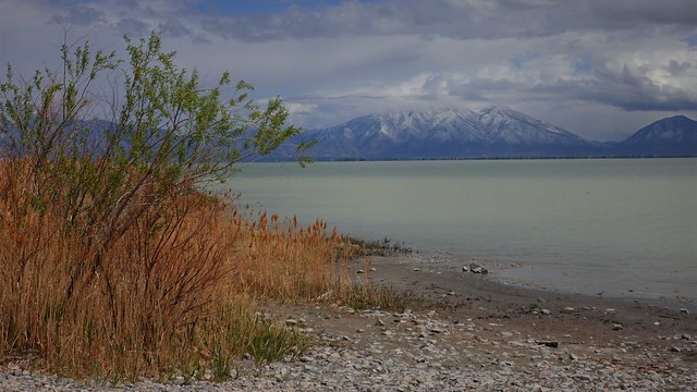 Utah Lake shoreline SR601782