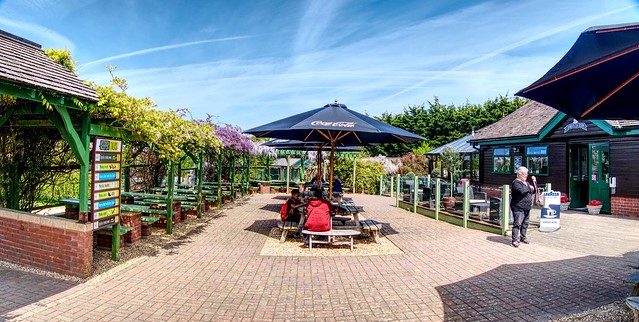 2022 04APR30 - ISLE OF WIGHT OWL AND MONKEY SANCTUARY - CAFE PATIO