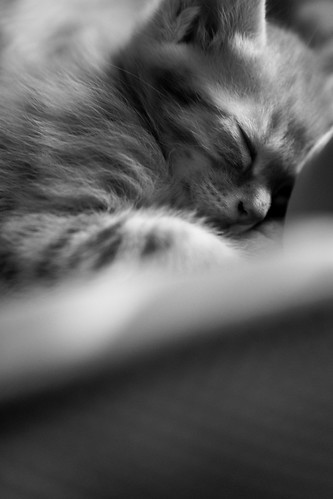 Untitled | by dive84