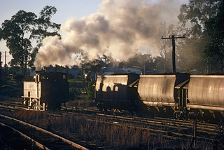 SMR30 shunting at Aberdare Washery, South Maitland Railways, Hunter Valley, NSW. August, 1979.