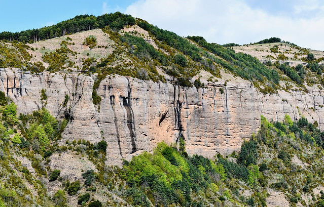 Turó de la Font del Forn (1.607 m) 1