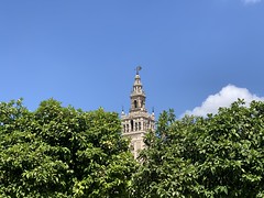 Catedral de Sevilla (Andalucia, Espa�a 2022)