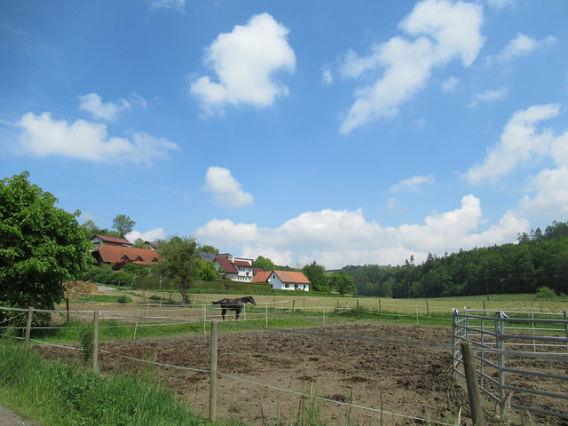 Horse paddock near Riegersburg, Austria
