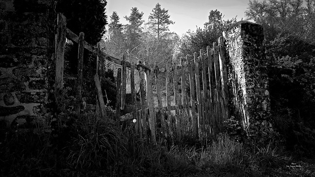 Le jardin abandonné