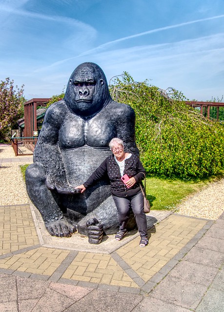 2022 04APR30 - ISLE OF WIGHT OWL AND MONKEY SANCTUARY - LITTLE AND LARGE