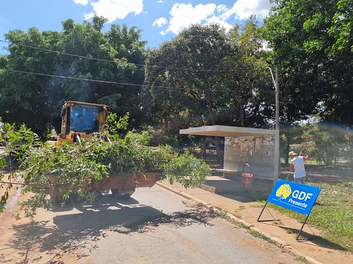 GDF Presente reforma calçadas e recolhe lixo verde na Vila Planalto