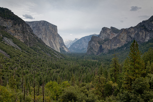 This is Yosemite National Park-Land!
