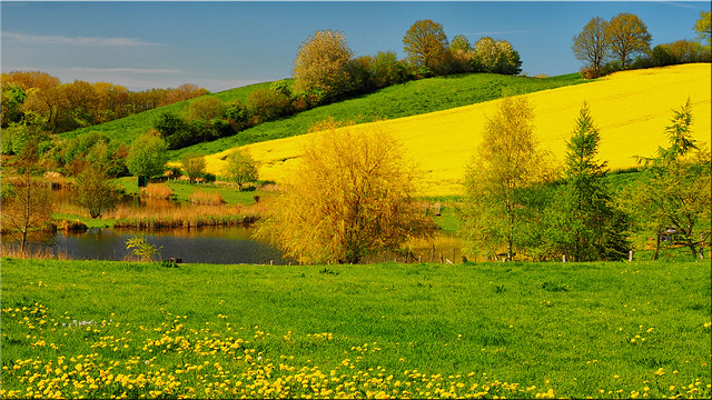 Spring landscape in Holstein