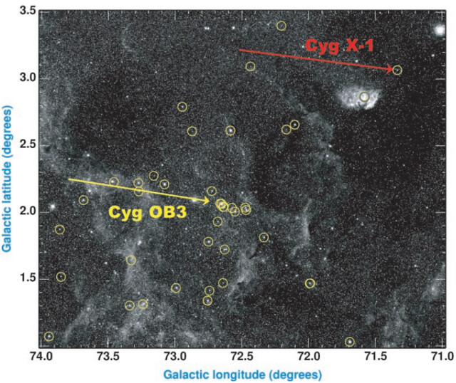 VCSE - A Cygnus (Cyg) OB3 asszociáció tagjai és a Cygnus X-1, fekete lyukat is tartalmazó röntgenforrás egymáshoz és az előtér/háttércsillagokhoz viszonyított helyzete 