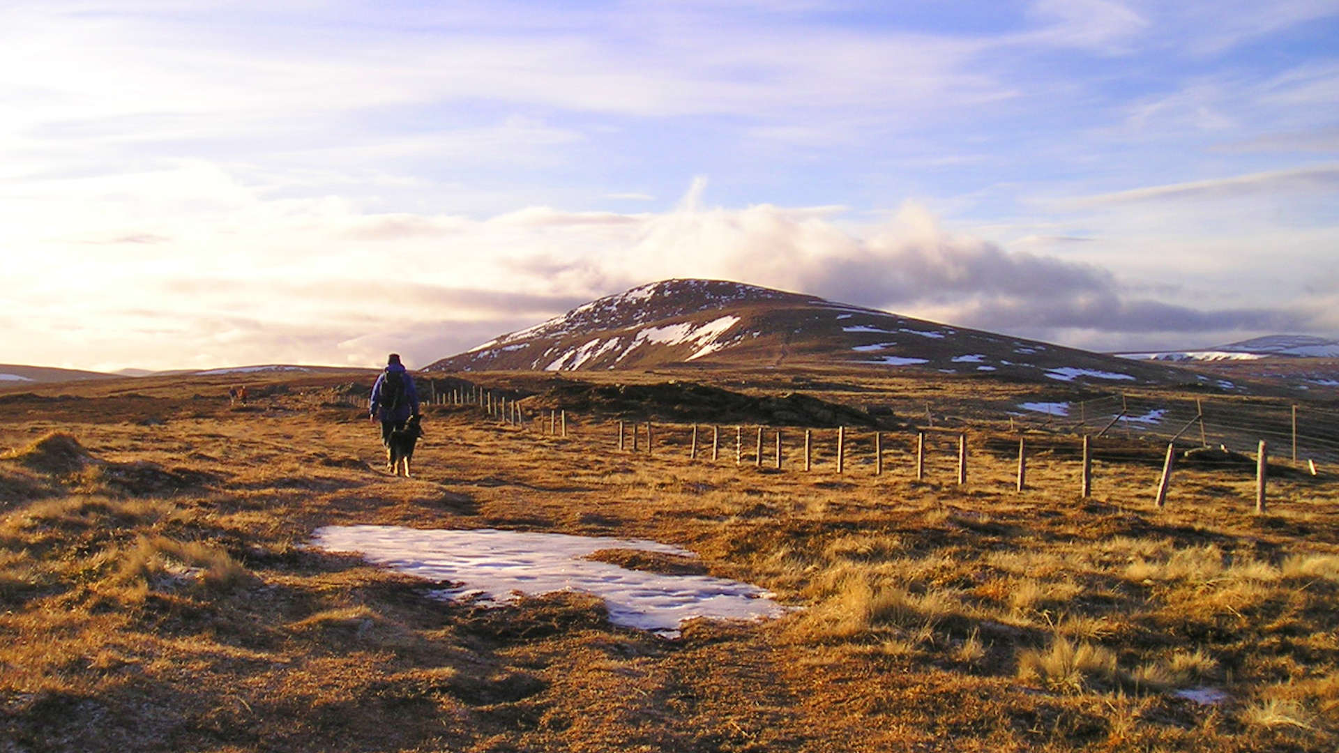 Heading to Mayar following fence-posts