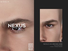 NeXus HD Brows - BR8