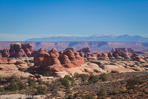 Views of the La Sal Mountains while climbing up into Chesler Park, Needles District, Canyonlands National Park, Utah