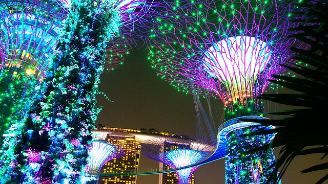 Gardens by the Bay Singapur