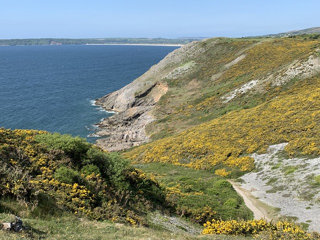 The stunning South Gower coast, cliffs full of wild flowers, a fresh breeze & the blue blue sea.