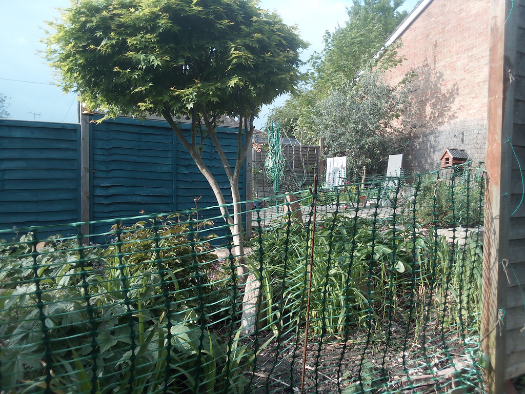 2 May 2022 Neighbour's garden