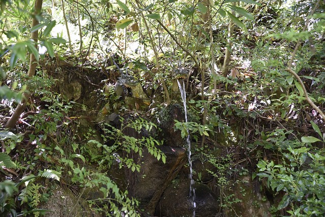 長楽寺の滝