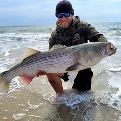 Photo of man holding a large striped bass in the rough surf