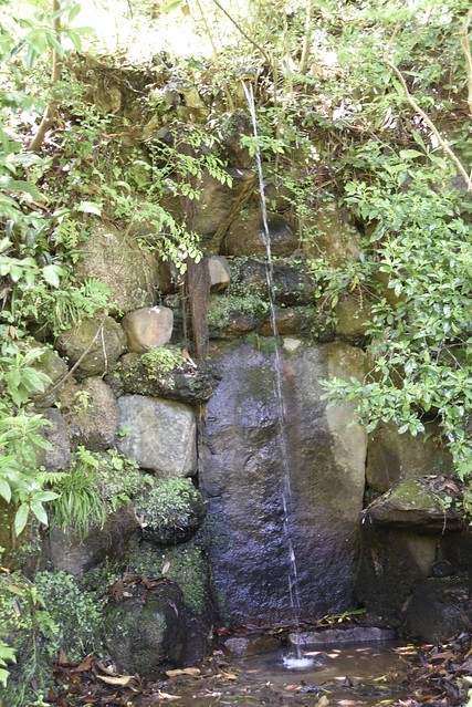 長楽寺の滝