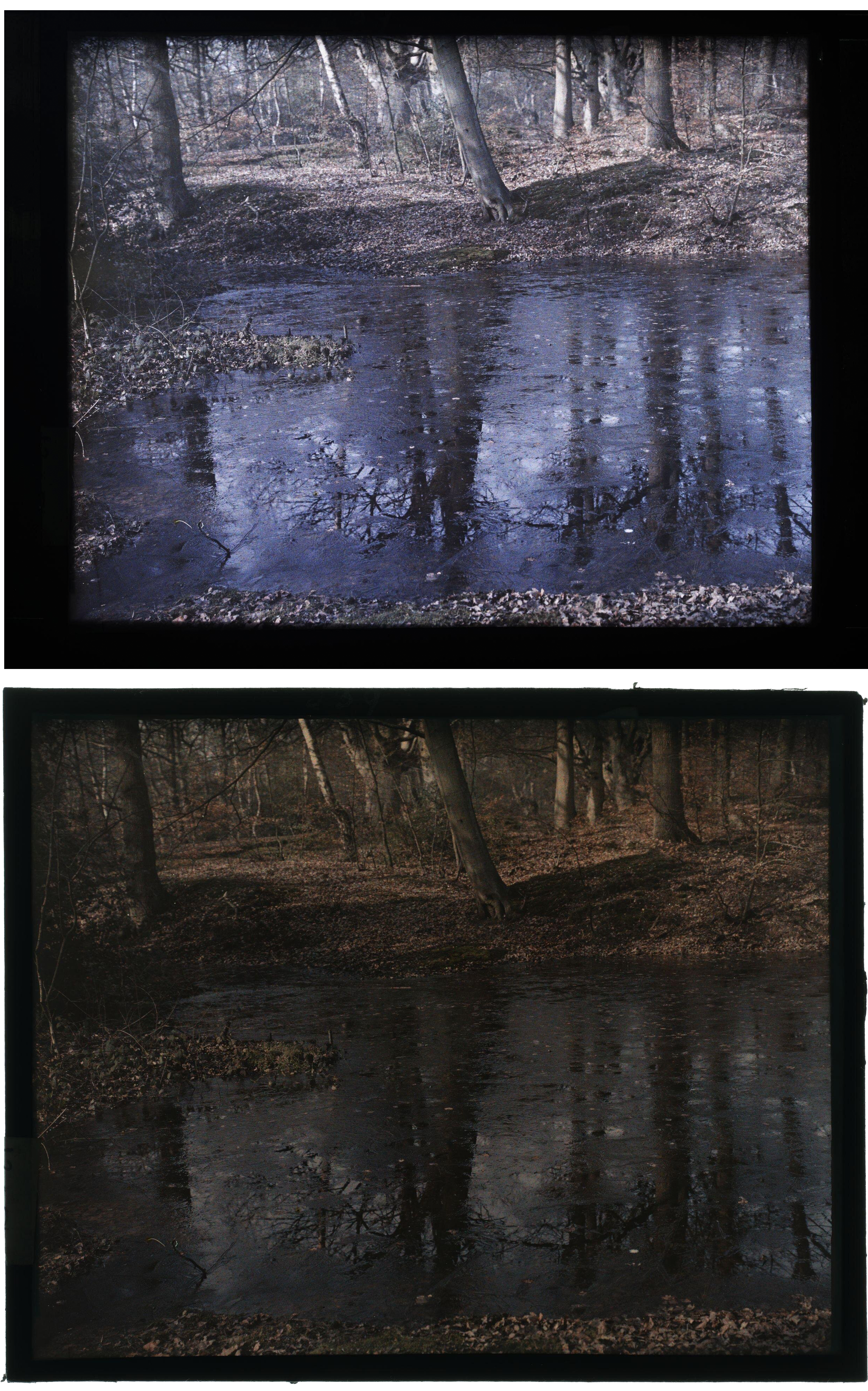 Hugh C. Knowles :: Frozen Pond, ca. 1910. Autochrome. Photograph depicting a pond, partially frozen, surrounded by woodland. The trees are reflected on the surface of the pond. | src The Royal Photographic Society Collection at the V&A Museum