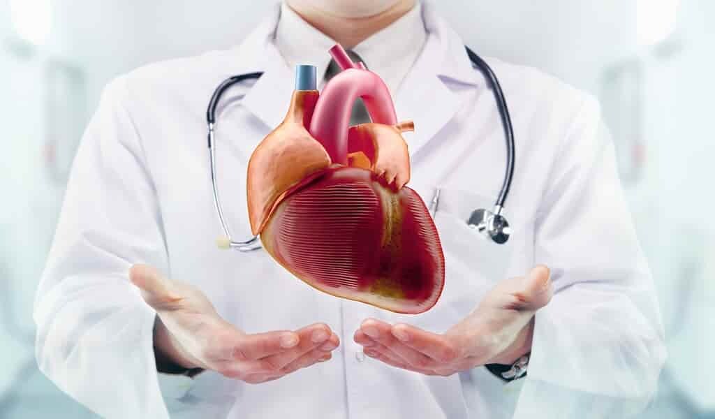 La grippe provoque des complications cardiaques en infectant directement le cœur