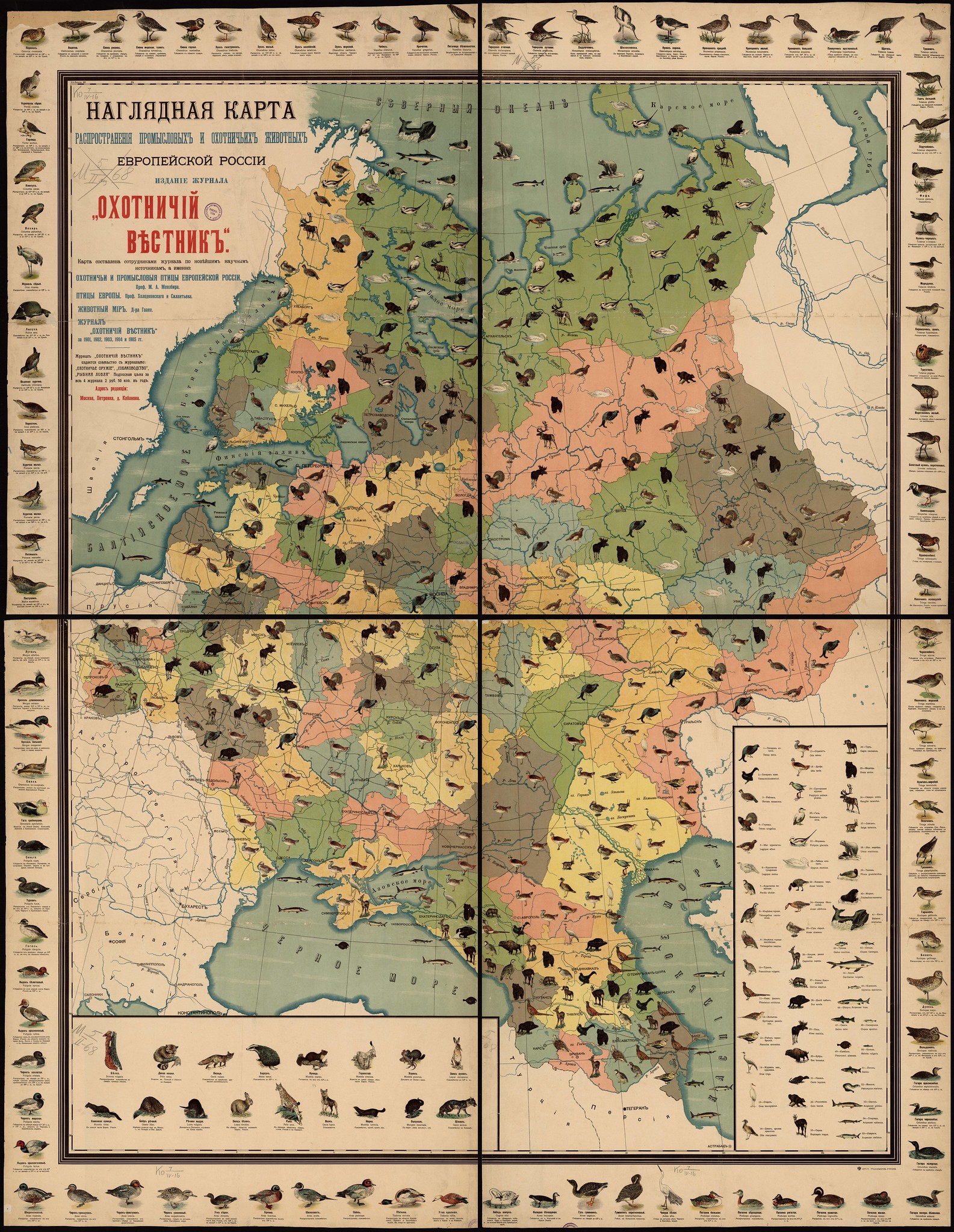 1906. Наглядная карта распространения промысловых и охотничьих животных Европейской России