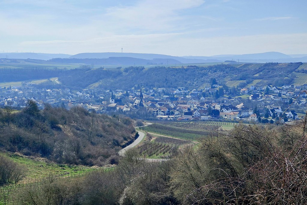 Ausblick auf Guldental-Heddesheim