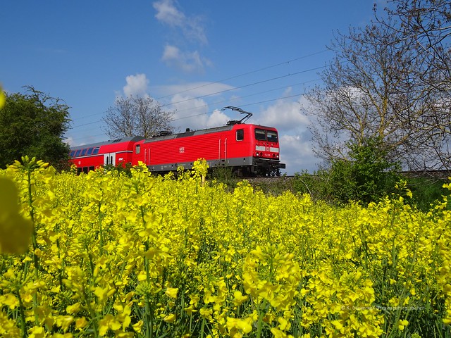 Am 1. Mai 2021 schiebt 114 010 die RB22 (Main-Lahn-Bahn) nach Limburg an der Lahn an einem Rapsfeld in Frankfurt-Zeilsheim vorbei.