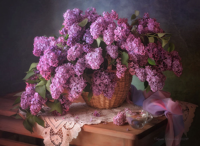 Lilac time