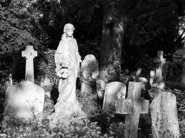 An evening walk in Brompton Cemetery