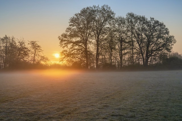 *sunrise and ground fog in the meadows...*