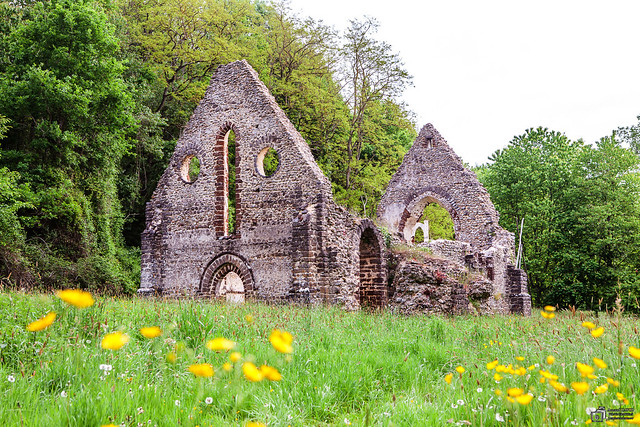 Ruine de la chapelle de Guériteau, Choue, Loir-et-Cher