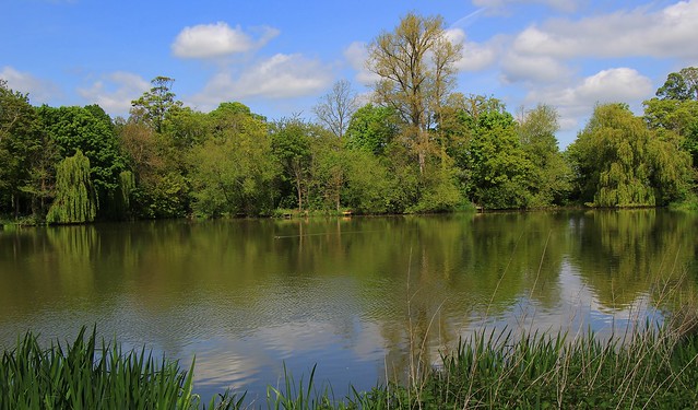 The Little Lake - Buscot Park - Oxfordshire  050522 (5)