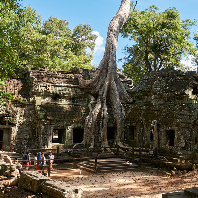 Ta Prohm