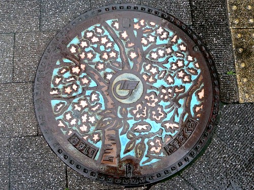 Sadowara Miyazaki, manhole cover （宮崎県佐土原町のマンホール）