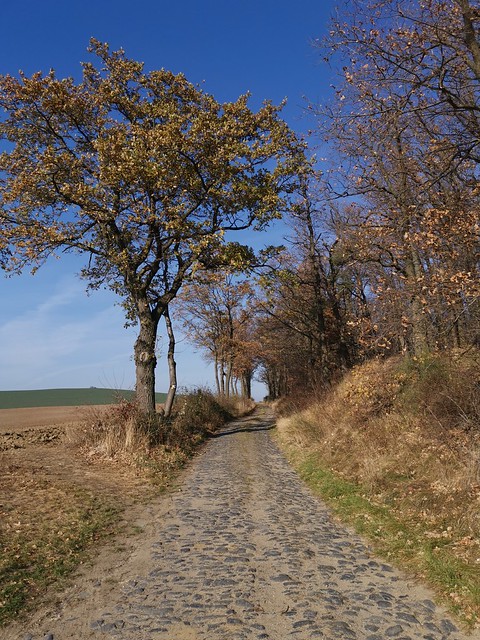 Wzgórza Gumińskie near Gola Dzierżoniowska