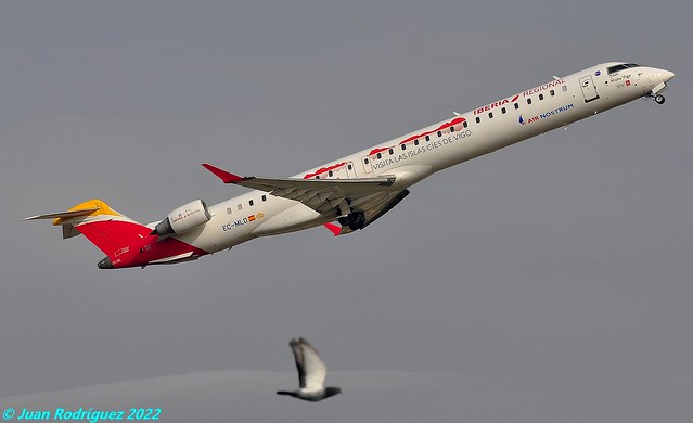 EC-MLO - Iberia Regional - Bombardier CRJ-1000 (CL-600-2E25) - PMI/LEPA