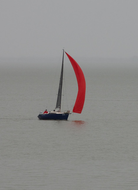 Red-Sail