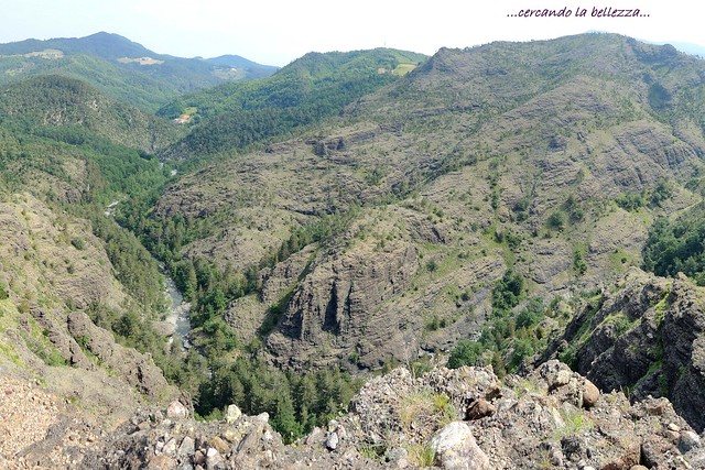 VAL GARGASSA. Nel corso di millenni il Rio Gargassa ha inciso le rocce costituite da Conglomerato Oligocenico creando un panorama selvaggio. Entroterra di Rossiglione, Val Gargassa, Parco del Beigua, Liguria, ITALIA.