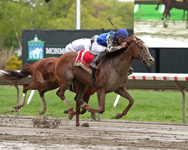Dash Attack won the Long Branch S. Photo by Bill Denver/EQUI-Photo.