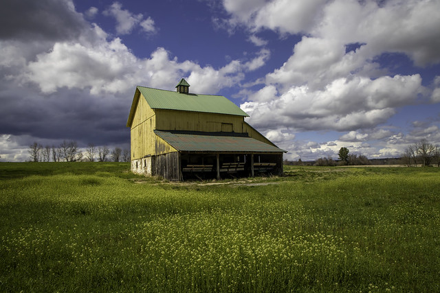 Yellow barn - Baltimore County, Maryland